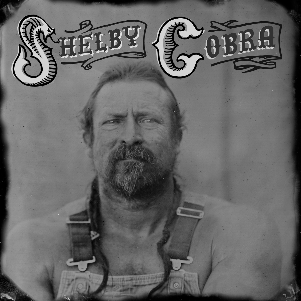 Shelby Cobra - NEW Album on 12" VINYL
